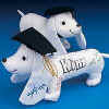 GRADUATION AUTOGRAPH DOG