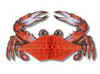 arttissue crab.jpg (3363 bytes)